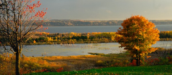 Les saisons au marais Léon-Provancher - L'automne