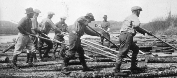 L'exploitation forestière, géants et démesure